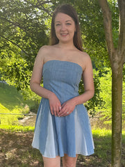 Denim Godet Dress